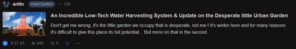 @anttn An Incredible Low-Tech Water Harvesting System & Update on the Desperate little Urban Garden