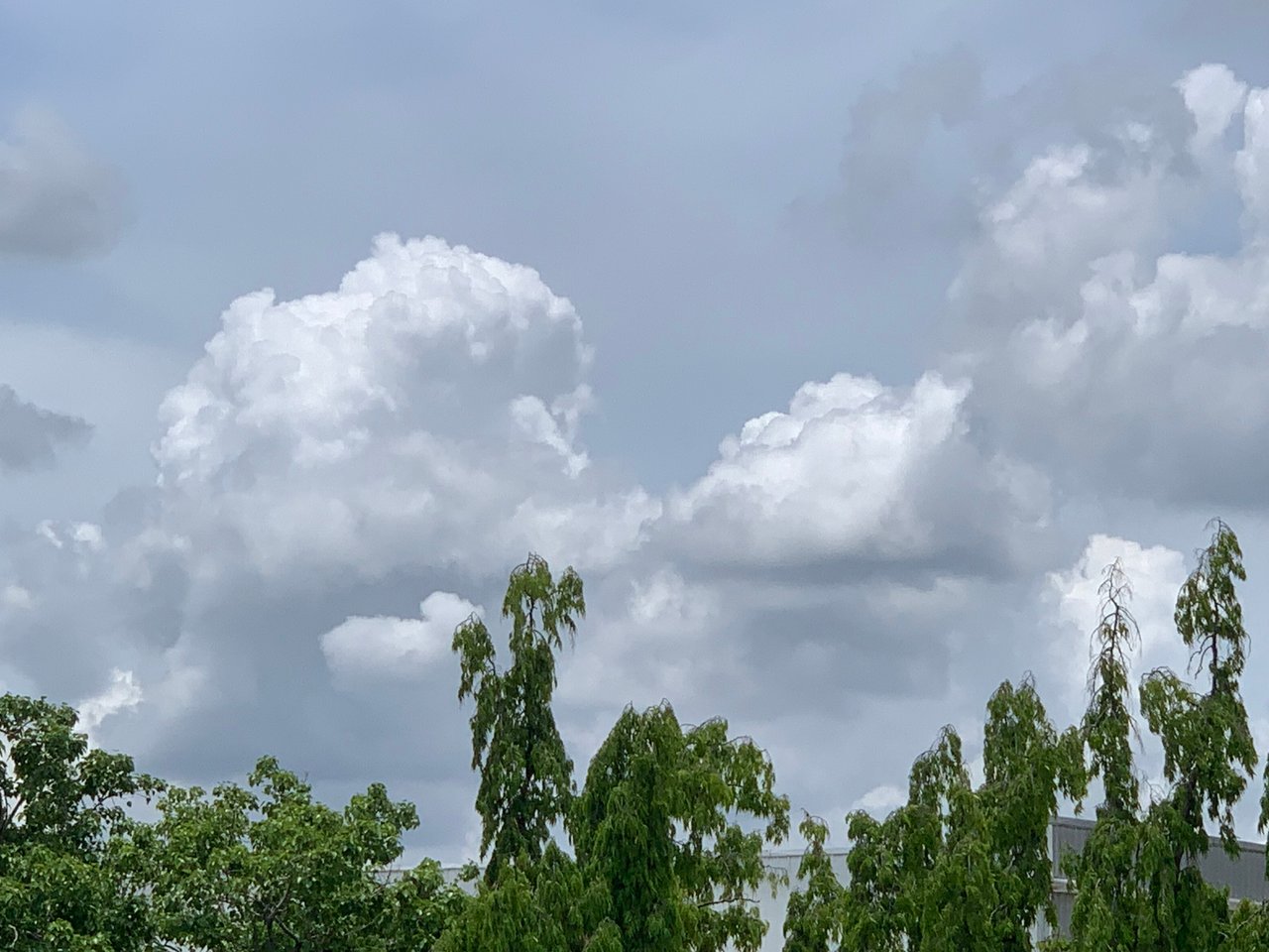 https://images.ecency.com/DQmc8qsWaJjSGipsb2zWdSB73GXRvCFDEgqhjwiXyFCK4To/clouds14.jpg