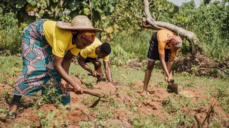 https://images.ecency.com/DQmc8wJks1iCBKnMBSer66LEWU6jtBVbN3NbmNiqviAz4hG/countryside_people_working_field_23_2148761752.jpg