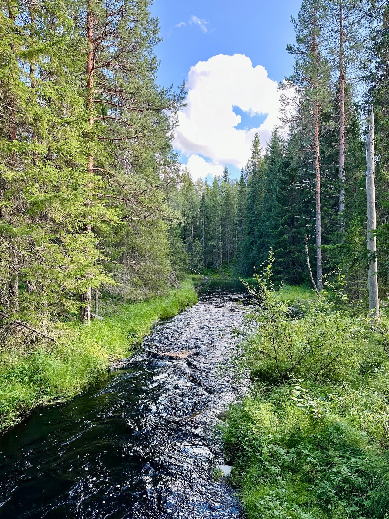 https://images.ecency.com/DQmc9CXNwnfuHeFkWNG5vditkRMGLTWGZteRd3RThpFXw9m/img_6889.jpeg