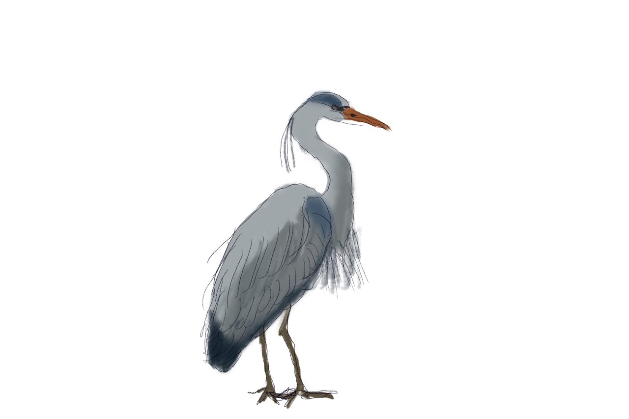 https://images.ecency.com/DQmcGJPBCZEHxHYf9615gwz6fmaHXCyoBedLgAgRN3CDouQ/1742331976780.jpg