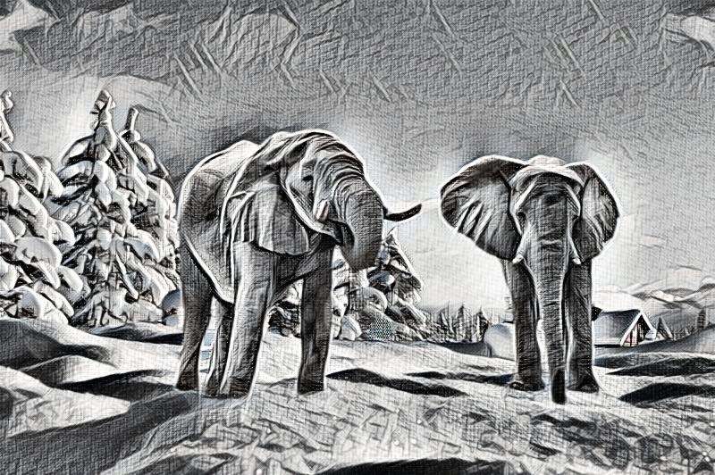 elephant_love_5.gif