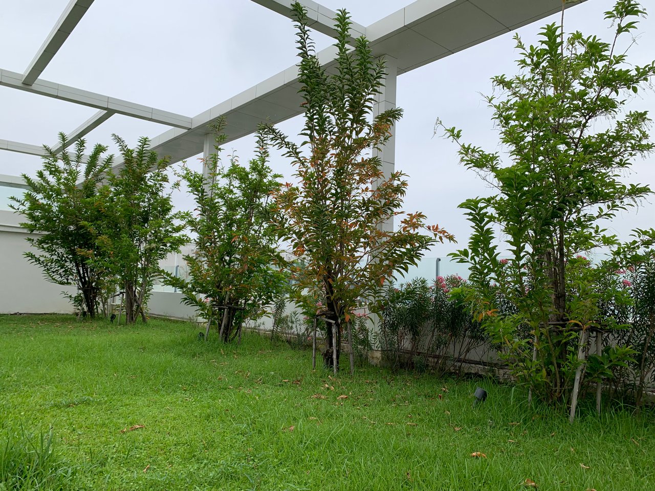 https://images.ecency.com/DQmcK129XnLmXFsqA3wHxERRggwxPFX1vwUe7iWnnWuZhd9/garden105.jpg