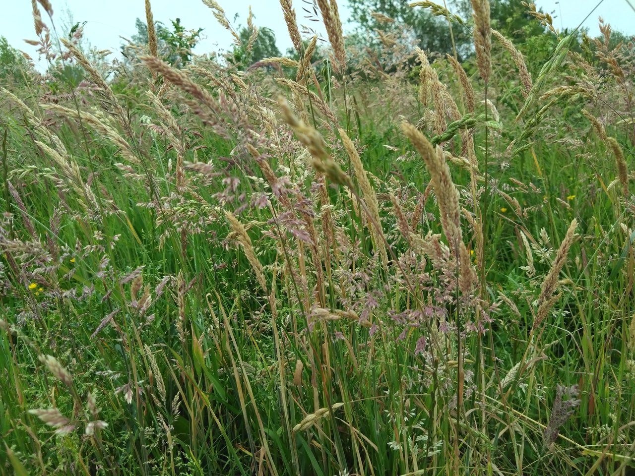 https://images.ecency.com/DQmcKZVx8jFSAWGdmJmfZWN63ykrGNrrHbYU3ABtc85sxch/1748586648401.jpg