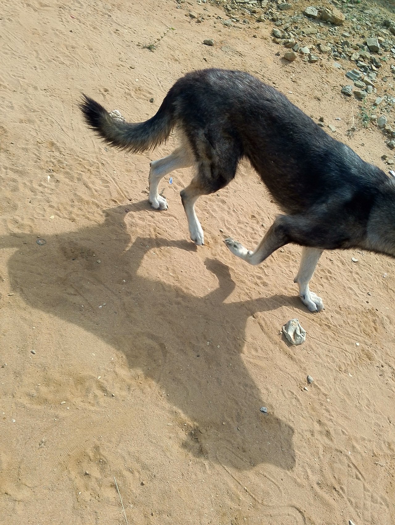 https://images.ecency.com/DQmcLTycBnbK3iYGk7DknBMG4xrLZrk9BWPAaSg6RtA1A3e/1737126437665.jpg