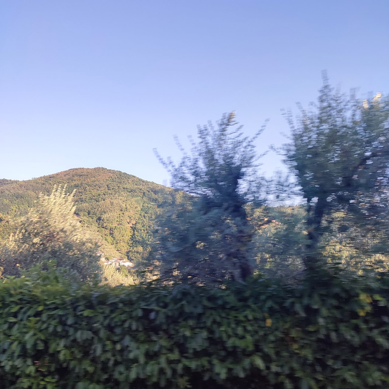 https://images.ecency.com/DQmcYLyKTv6WtG2CUSrmAZ1TG4HtoN5avpw6vgN3dusArCM/1756573656820.jpg