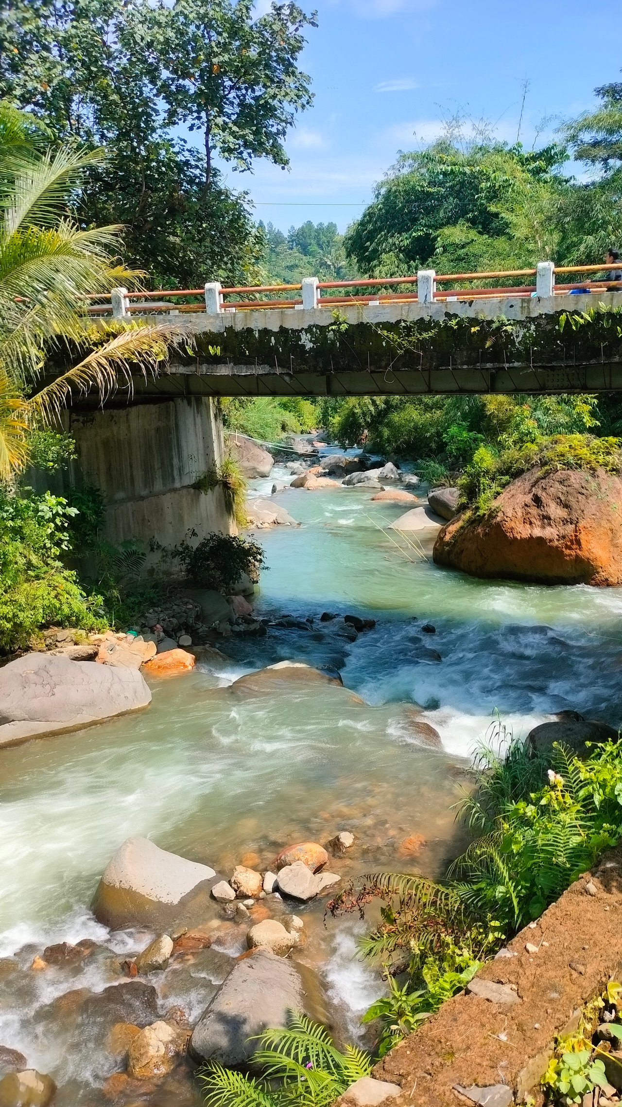 https://images.ecency.com/DQmck4vmXdf1w8RhoT3QeySLocsj1fvS6kkH1aA3T1sohtJ/1747062282930.jpg