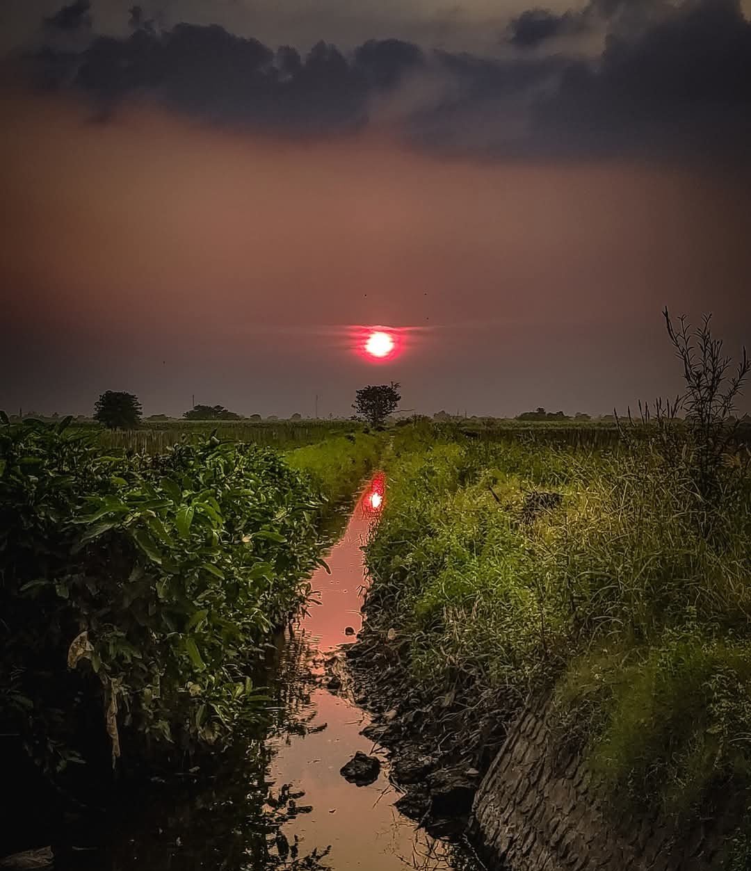https://images.ecency.com/DQmd1qoTToCjDmi6BusecS6qf8B6X1KnG7t6W9WGXpj2m8e/1749715170165.jpg