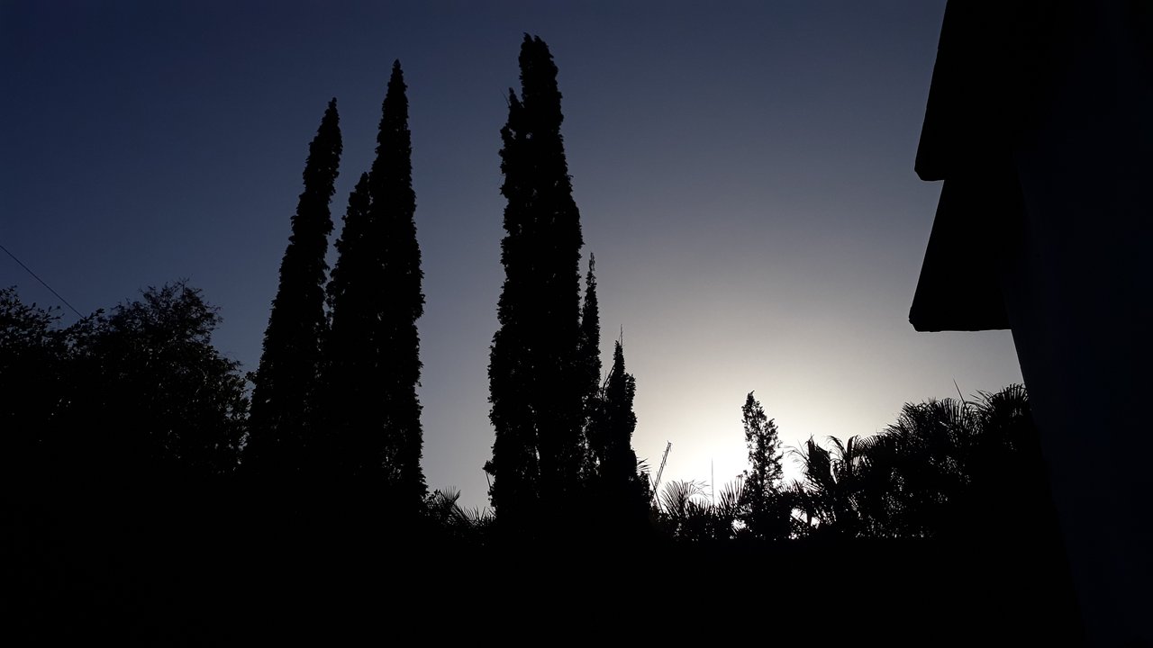 https://images.ecency.com/DQmd7QC45TGT3rTb3NtJ4af1kqNxKjLkqCUb91sE1X4D5om/fotografia_91_.jpg
