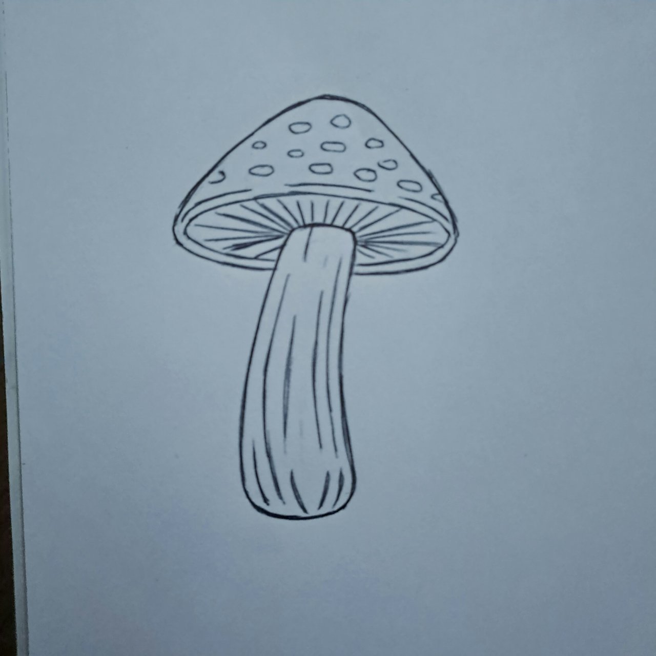 https://images.ecency.com/DQmd91DU4NGFje3WSLJCYkA6EddUBpD8HLoAkCe6UotE5uP/0cover.jpg