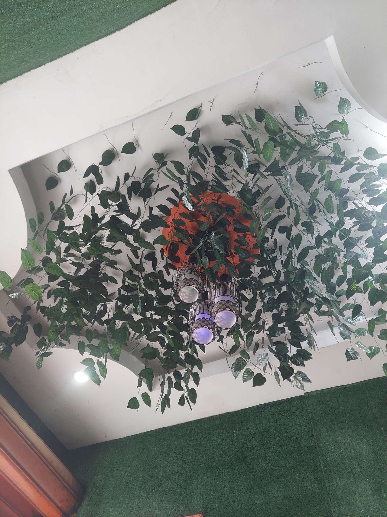 https://images.ecency.com/DQmdA13AzQyvSshn8zoLuySW7NNH6FC6BNeYpj56eByvRsz/1739016304753.jpg