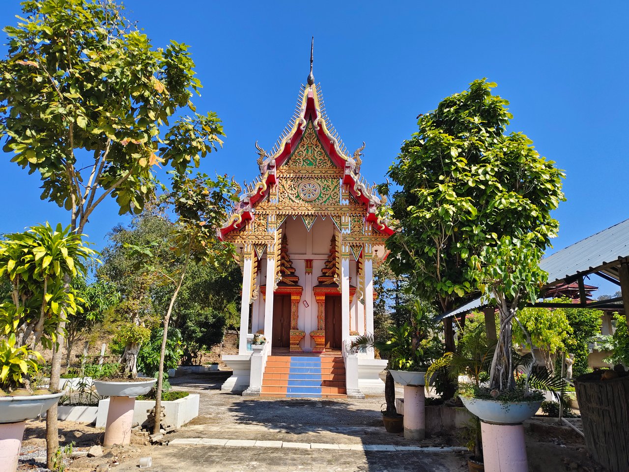 https://images.ecency.com/DQmdAHCJBgQrvkthN9UmRLEQH4wgTXm7SDwhHT7BrpiT53G/1737900159773.jpg