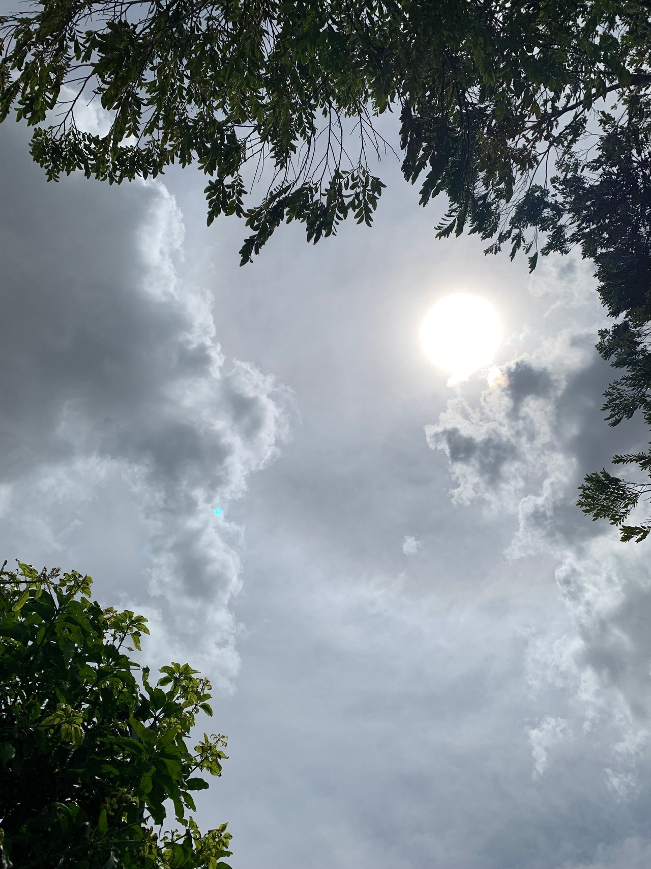 https://images.ecency.com/DQmdEeUxyczZWAhcUxo6pNCypvL7FqmvMhbPMhfZ2ooVh4t/clouds19.jpg