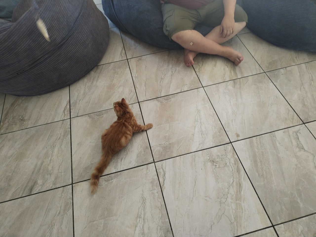 https://images.ecency.com/DQmdFjjeYCZn9VcdYPFi1VZpwch8etxRwScpZbTaAcmvt1B/img_20250302_105612.jpg