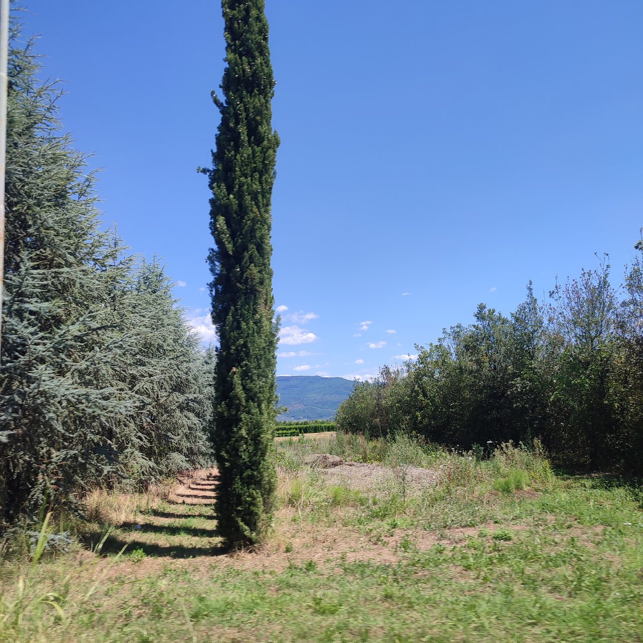 https://images.ecency.com/DQmdJk7qAXmJ2uEYr2YTq5HDNrzY4FMy4EnrUGAAEpcZegJ/1755109527026.jpg