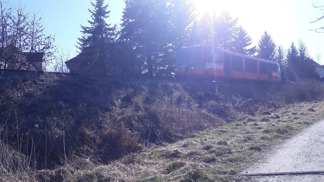 https://images.ecency.com/DQmdMz2GwN51wfjbFN9ytoqjdSBUvA7rRctPnKzRnJPNMKf/20250406_164400.jpg