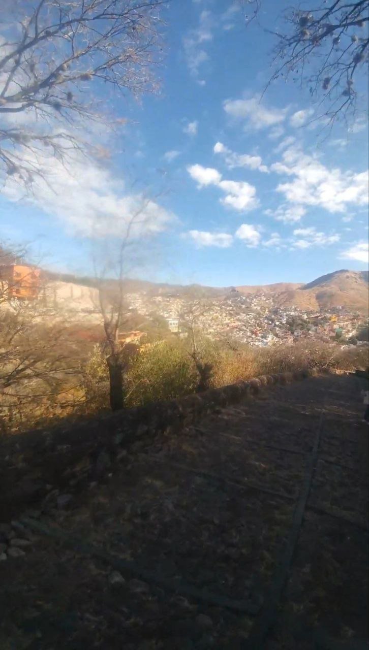 https://images.ecency.com/DQmdZ3BJGViEzVEBv8ebxjXrweKykzx89yvQT53m5VtQwGN/photo_2022_04_19_16_12_58_2_.jpg