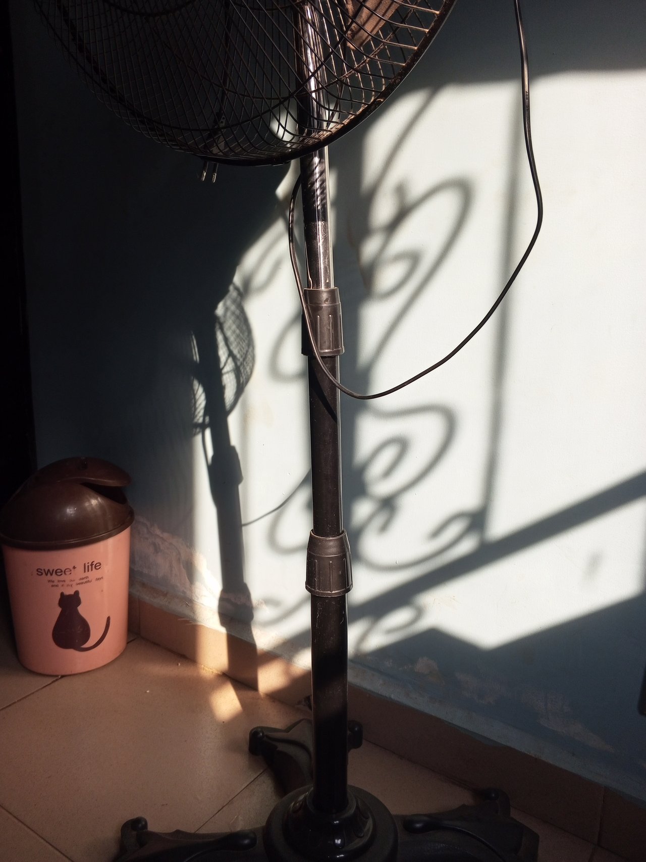 https://images.ecency.com/DQmdZEztyFNZsWjAih4hqzHL4KzetLGhUwJtAJBTxP8ZXz7/1738235709677.jpg