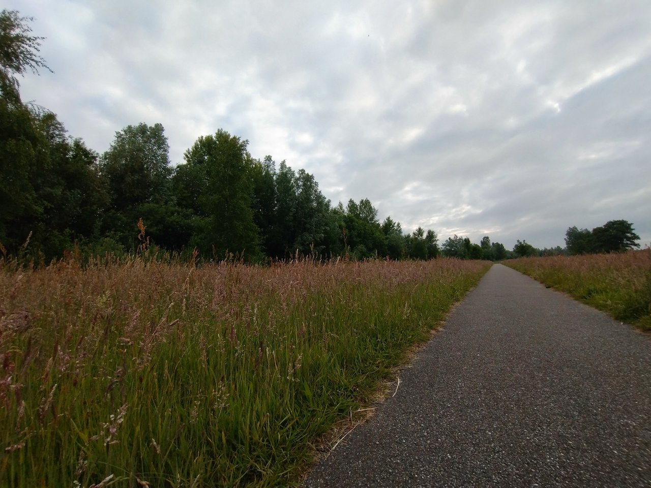 https://images.ecency.com/DQmdcJvaCDuYnhiNJhgvi8cg18ui8FCQZGPSaAcqGEcGrrE/1748586649898.jpg