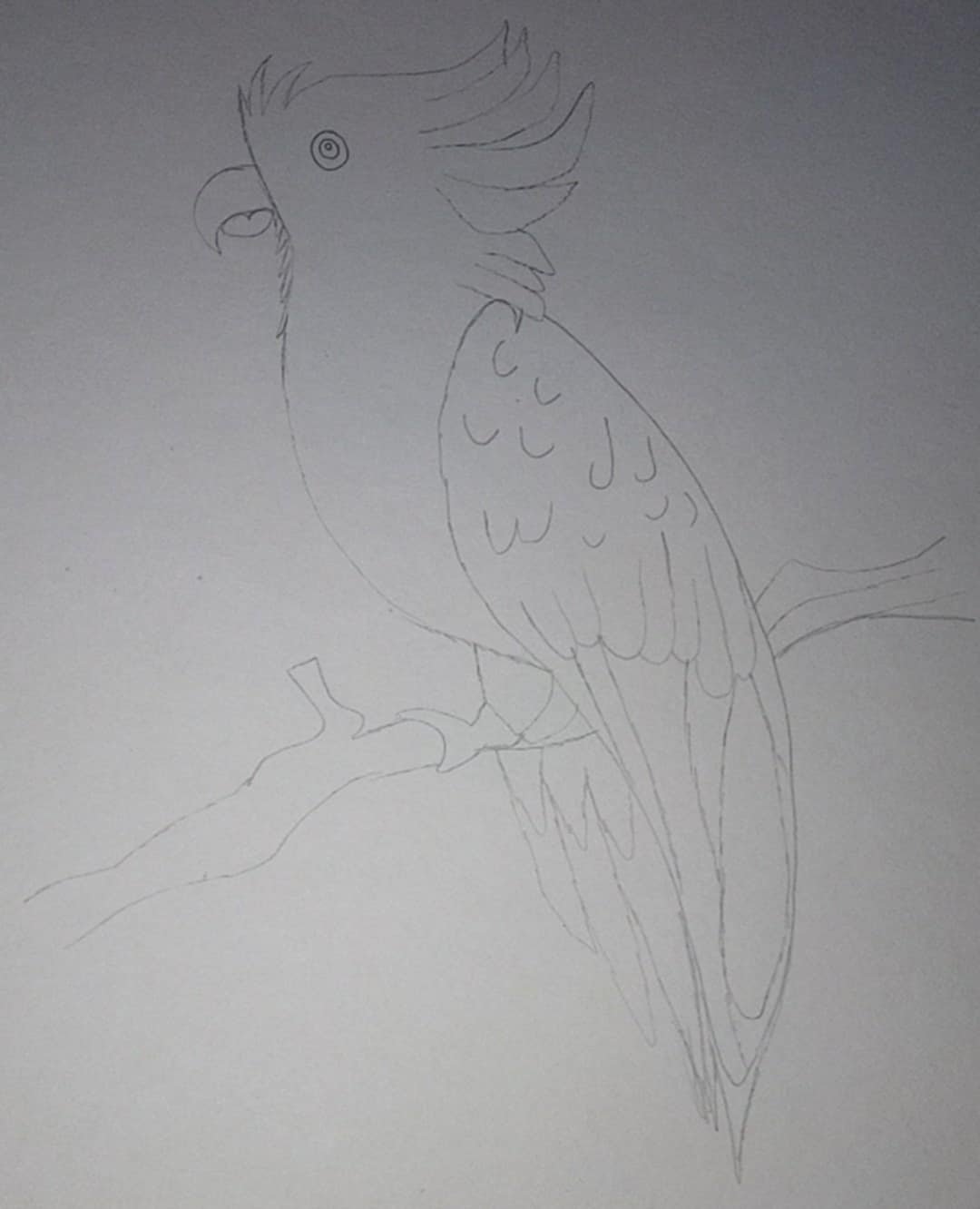 https://images.ecency.com/DQmdhaMcSnBffW9Ls9p2VuftbeYFxBbHDCY37CTuppdyhyY/1756825531364.jpg