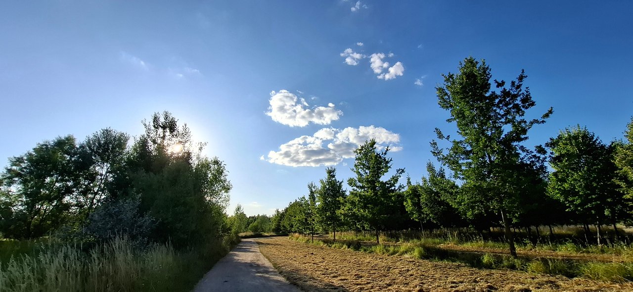 https://images.ecency.com/DQmdj6pfCTvzhdC2XAX2j91gKGe4ux8kQuqFZbCYTYc24ch/1751658310732.jpg