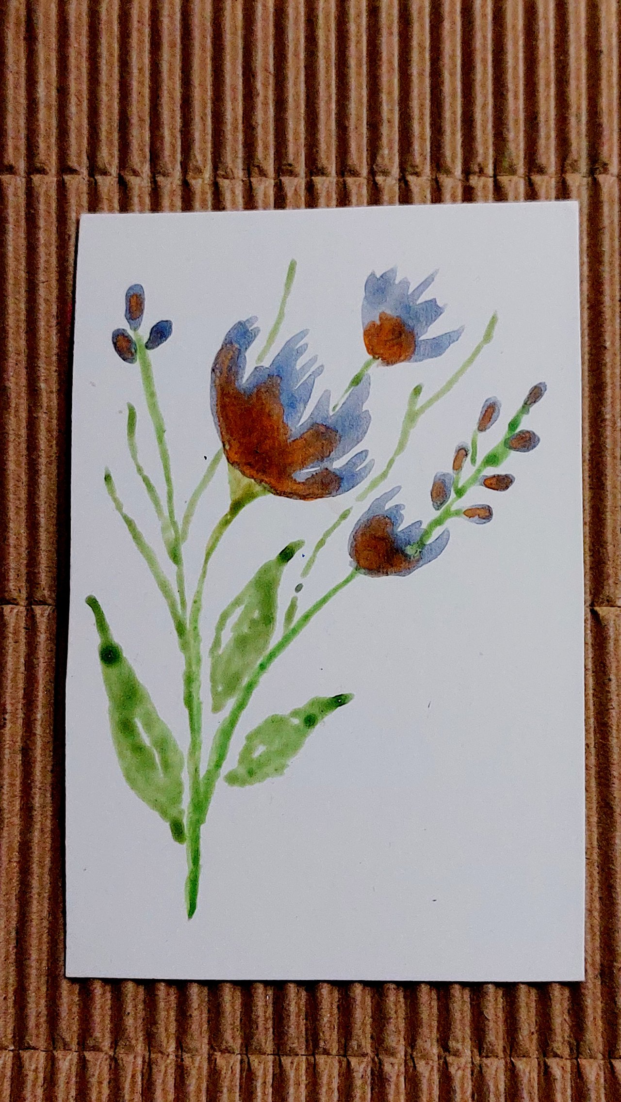 https://images.ecency.com/DQmdtsW94jWhWfQApXHbkn5yFVyWSrLi1dueQxkTbRLGPXS/20250305_041700.jpg
