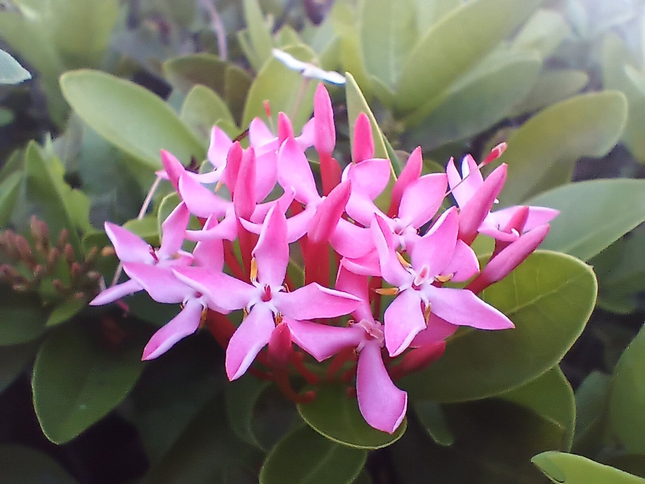 https://images.ecency.com/DQme163F5jXpE3aeetpDmYPFTXrgrqLVxx1GTBSucjtkLa6/1751337098381.jpg