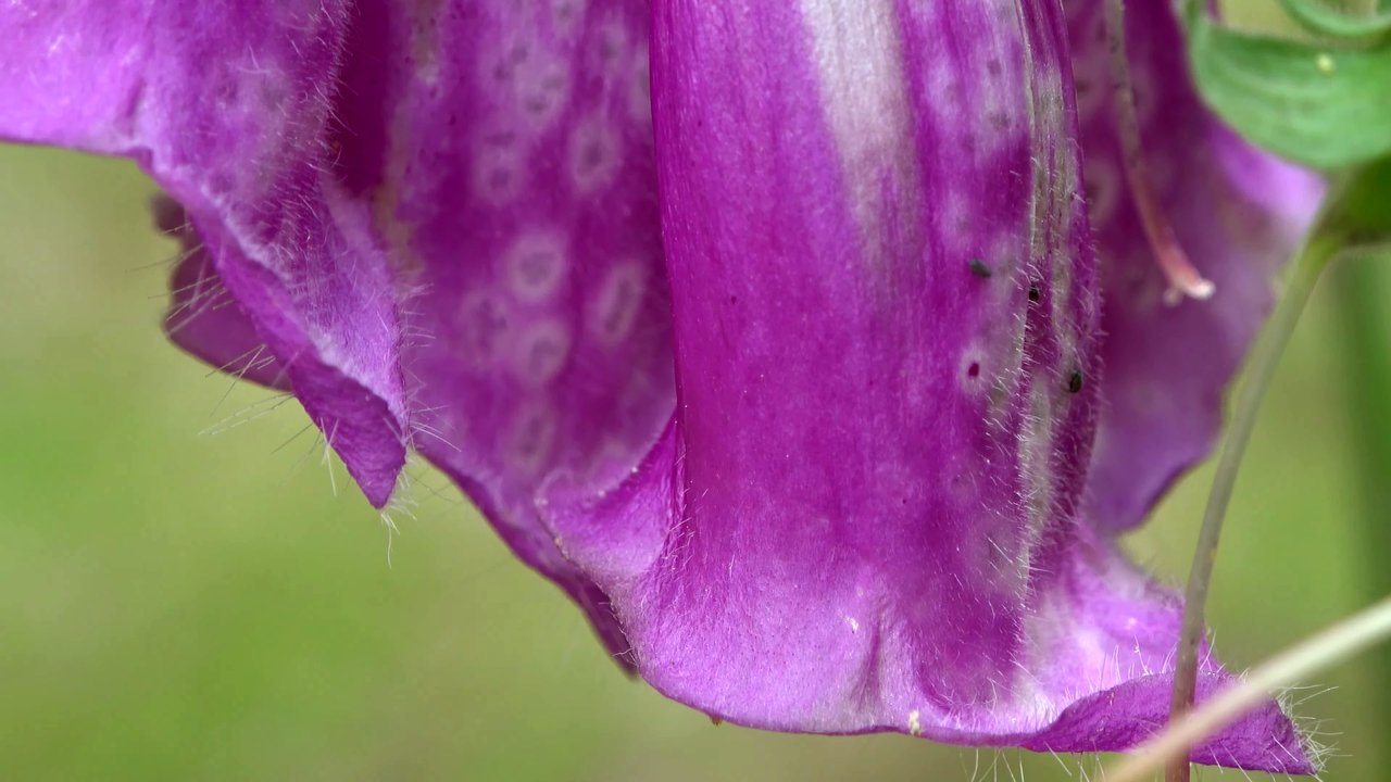 https://images.ecency.com/DQme943iS4XHTnGRi6VEciZu7XWkNrTLWmZKgfCm16sKWcQ/d02.jpg
