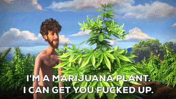 im_a_marijuana_plant.gif