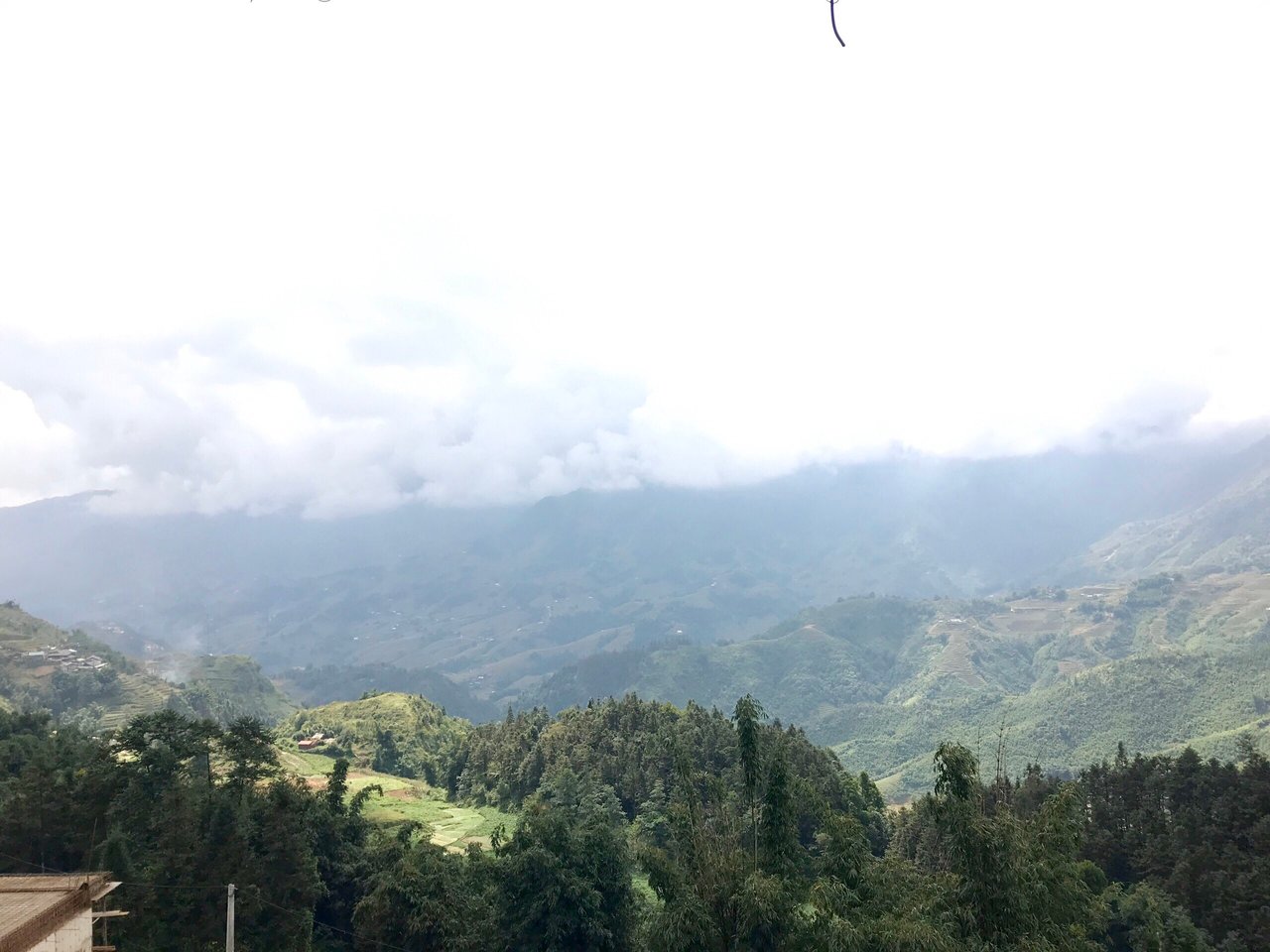 https://images.ecency.com/DQmeCBQSyGw6WH5TNsqTWU66qXDvGy86GEASkC8UaDjcnVQ/26c706285d20ab7ef231.jpg