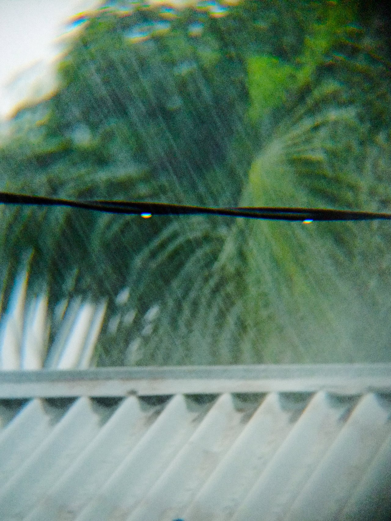 https://images.ecency.com/DQmeHtdE6UoQqs7guscMzFw6SUrMwYGqUv4vP6b5jc8ZfmD/1751625587041.jpg