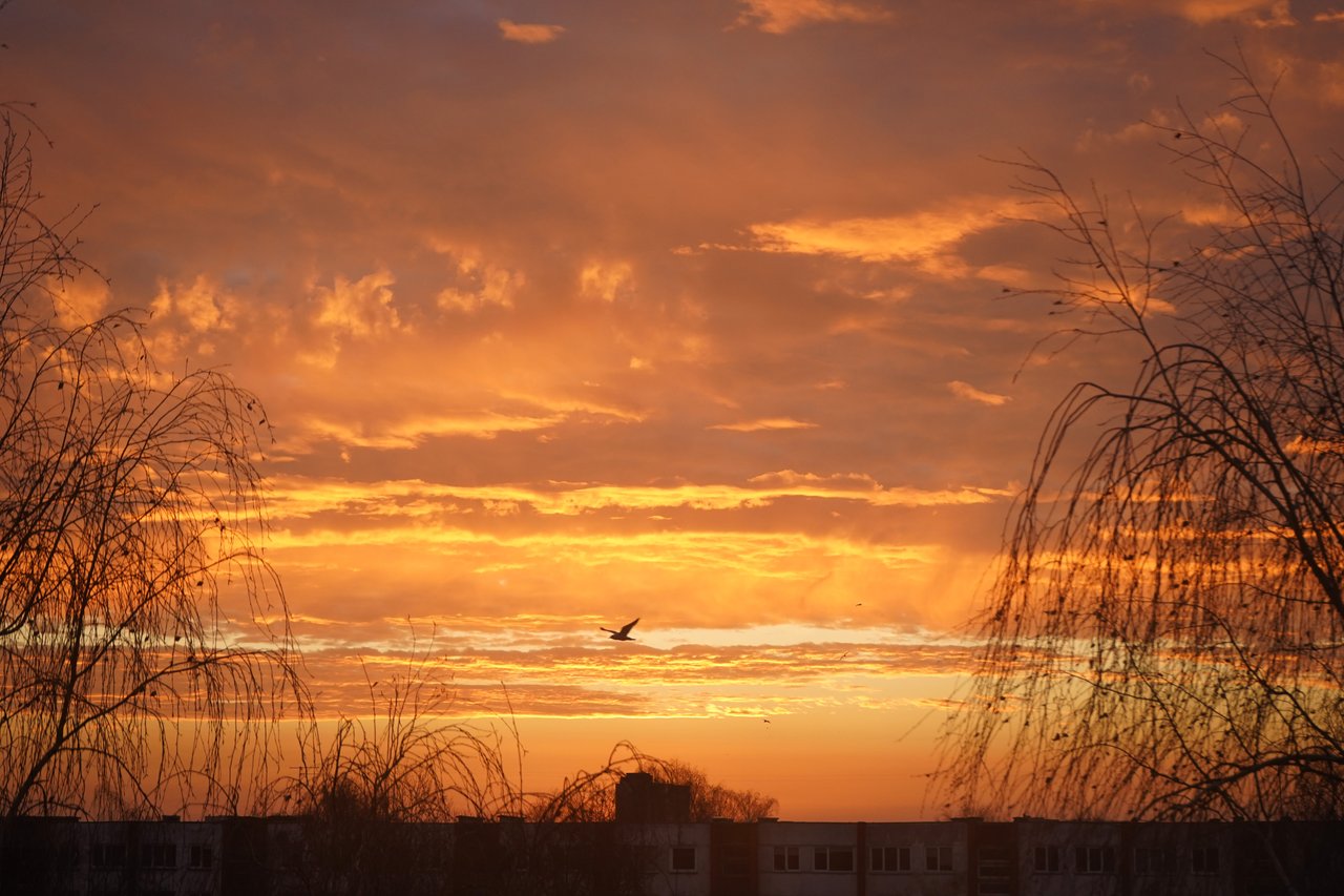 https://images.ecency.com/DQmeP9WvakukazgXXC1zvmSjcGLtR3hPBvYTssnbtLwQq7w/dsc02934.jpg