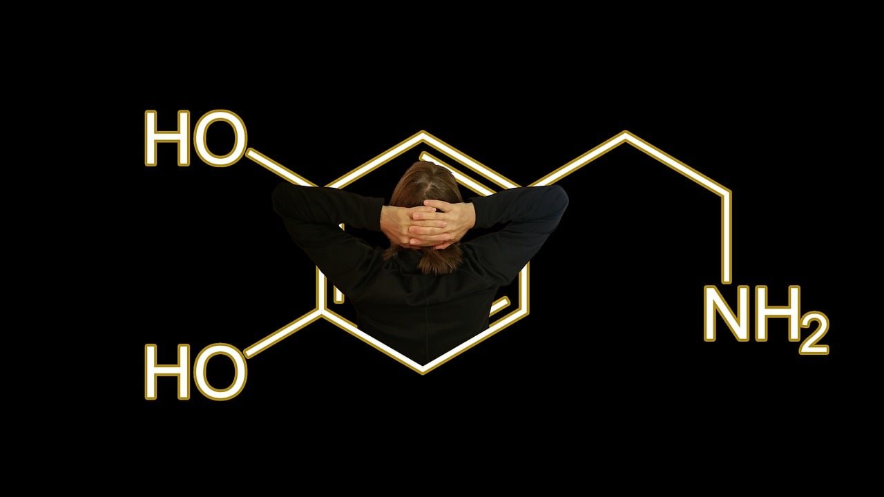 https://images.ecency.com/DQmeT6xCLxNZUvfNun116fKSe4VQcMixaFd9gsj9rssLJPj/1722322503552.jpg