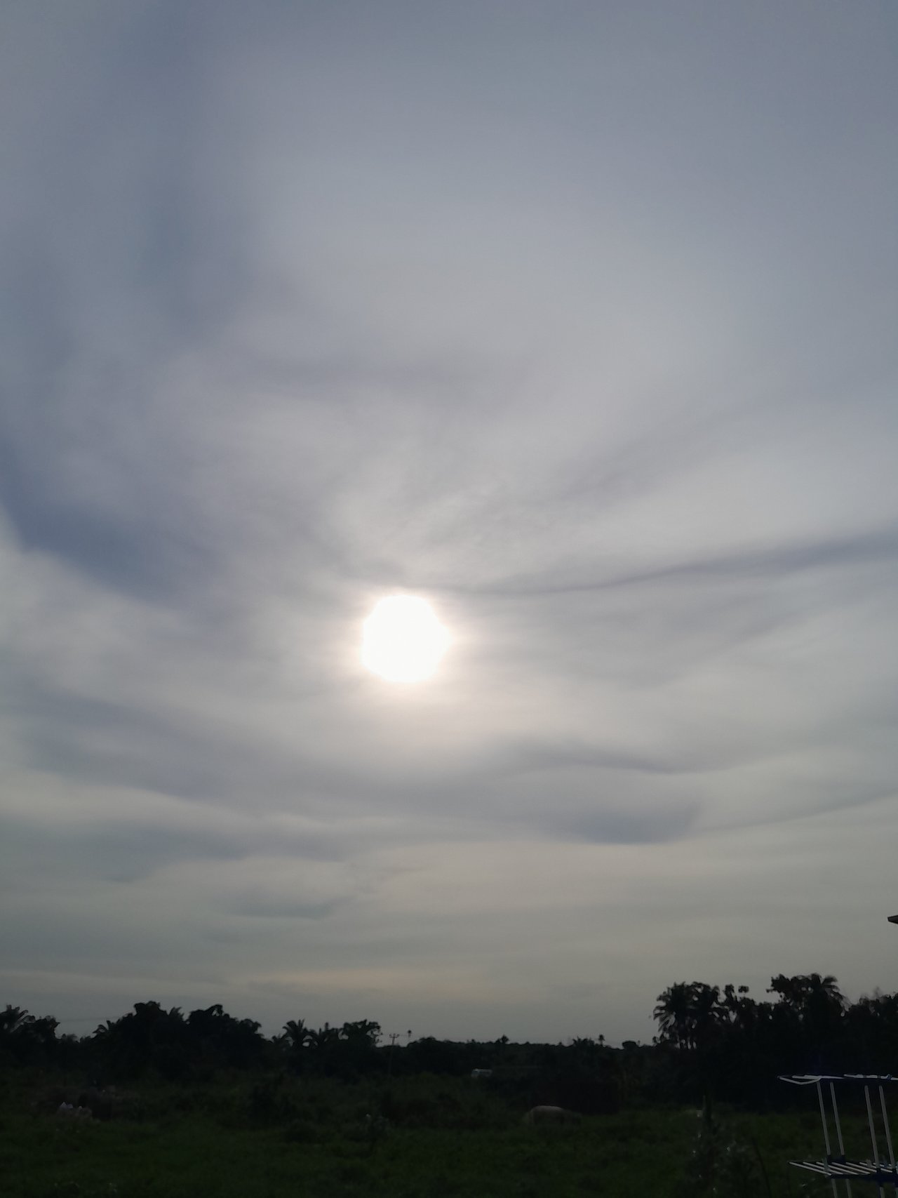 https://images.ecency.com/DQmeUKgwNWD6266ph69omBLBAvPycq6pCFnfDzNEx9qrvWc/1750949555308.jpg