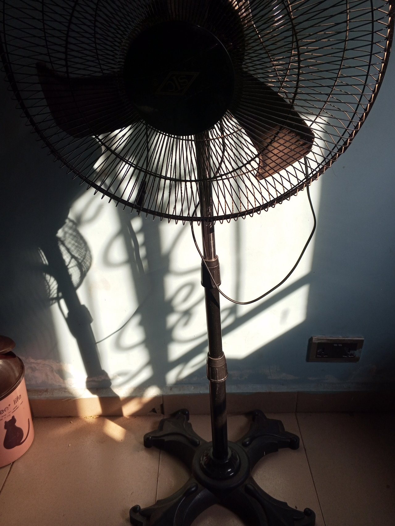 https://images.ecency.com/DQmeabw7BhQDgduFMWoH2VHqo3ajB97hWUhCPb8fZgGGgxt/1738235709863.jpg