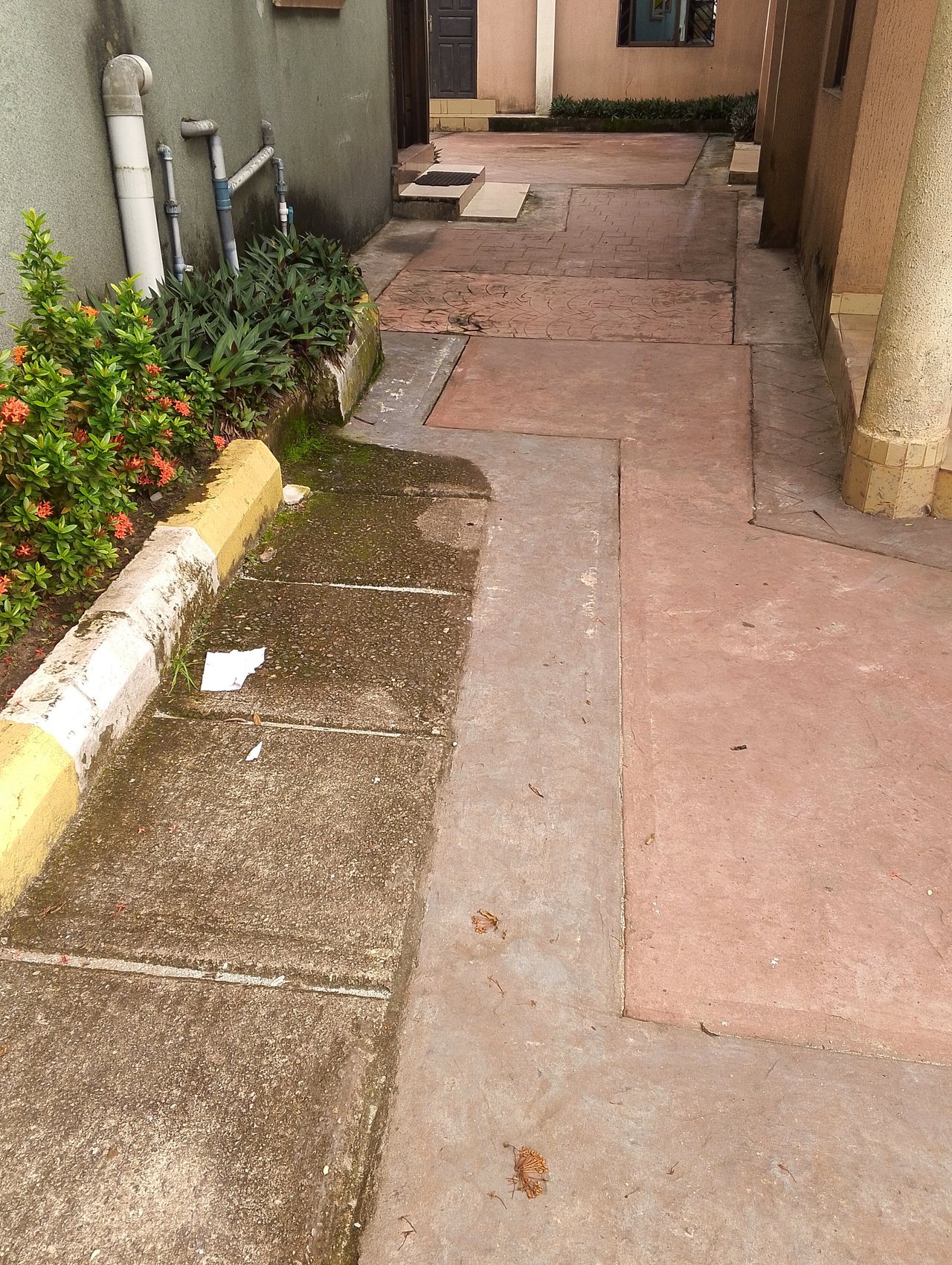 https://images.ecency.com/DQmebHHaqydnfLx9H69PzF5JHqH8zcP4Q2BuT34iryu5dwf/1749271191462.jpg