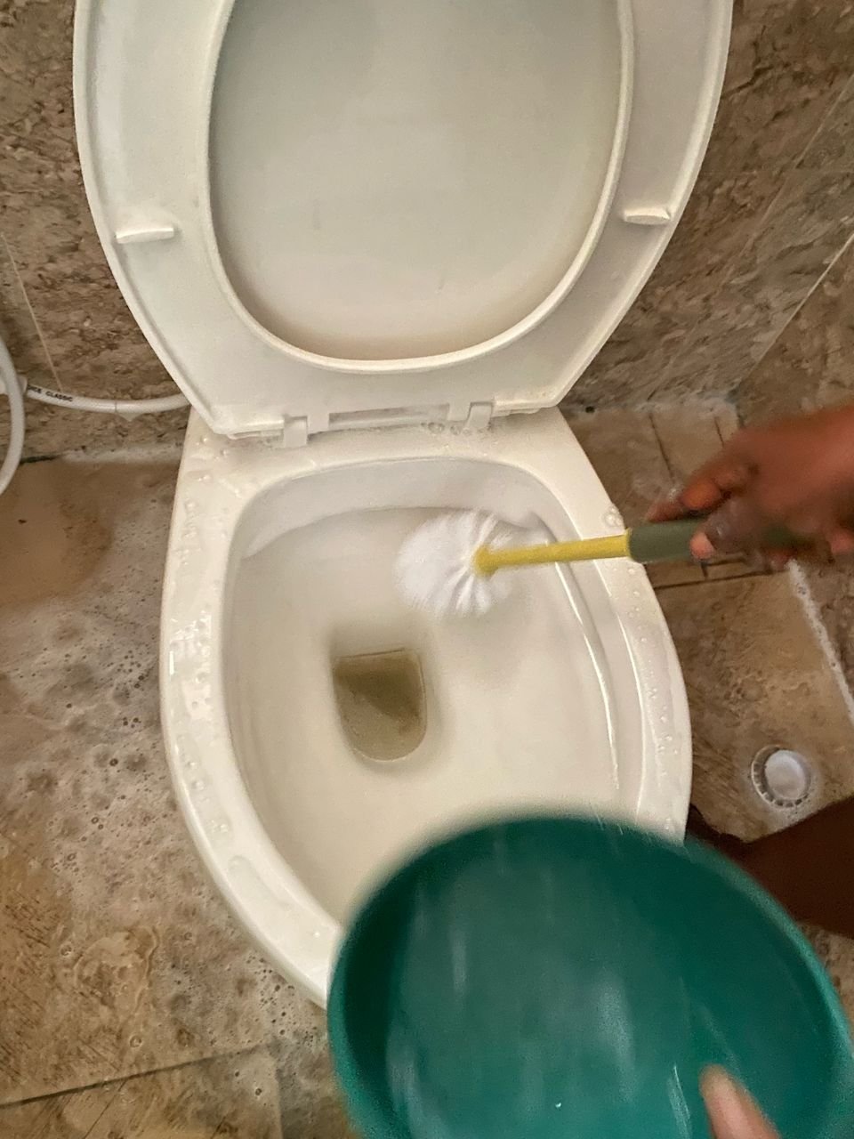 https://images.ecency.com/DQmebYGro4FN7ho9dzA7DWm4k3nrhPSKEEF2FomsStN6gNF/1745012433818.jpg