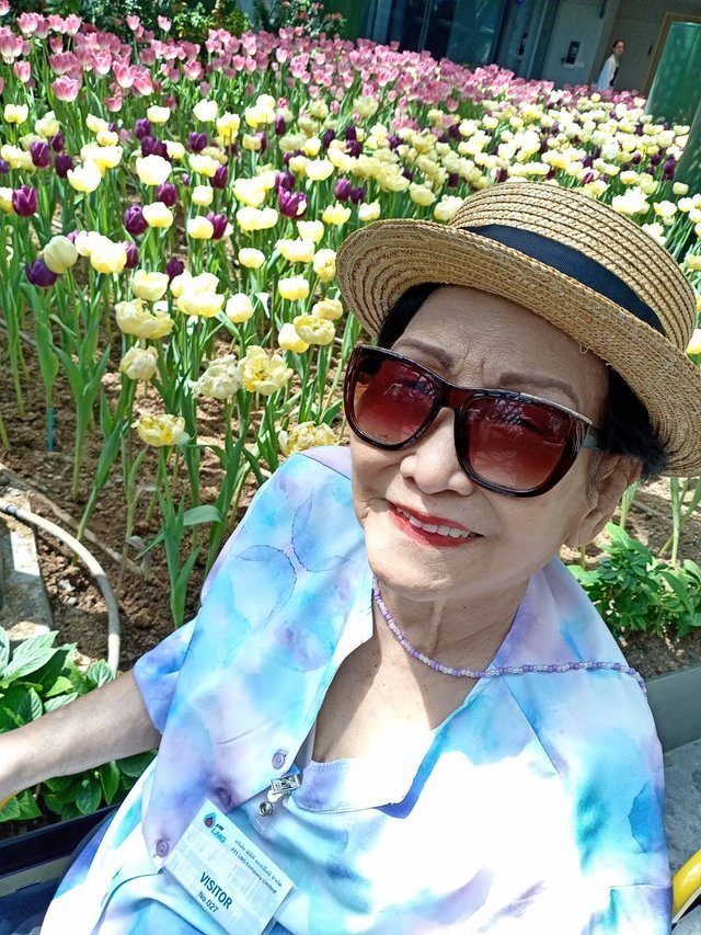 https://images.ecency.com/DQmekDkCSYbAkTLigdx3osfGp9wQYJpQPns4rmr17ckoZM1/tulips31.jpg