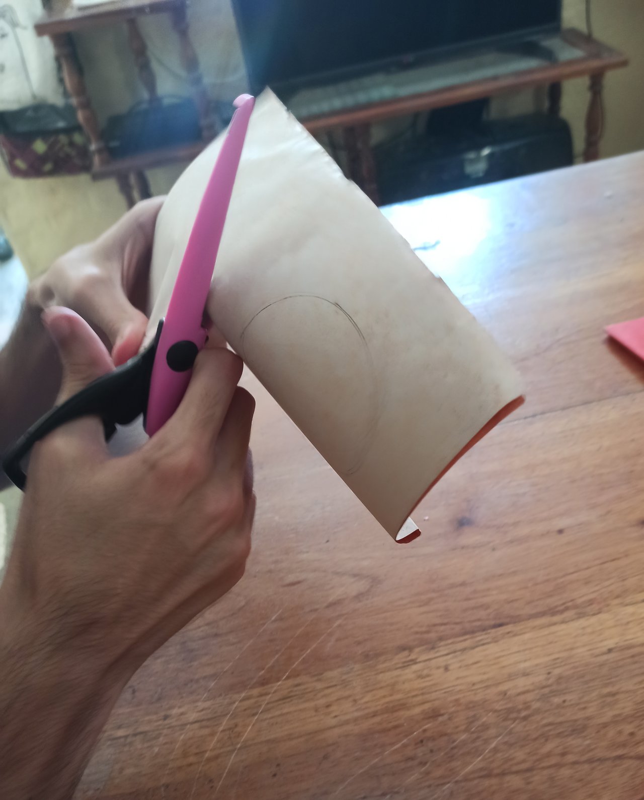 https://images.ecency.com/DQmeo2QJJmgeTkshdNHDp4TPszAuXast695XeouQG9Txhyt/img_20250520_142616.jpg