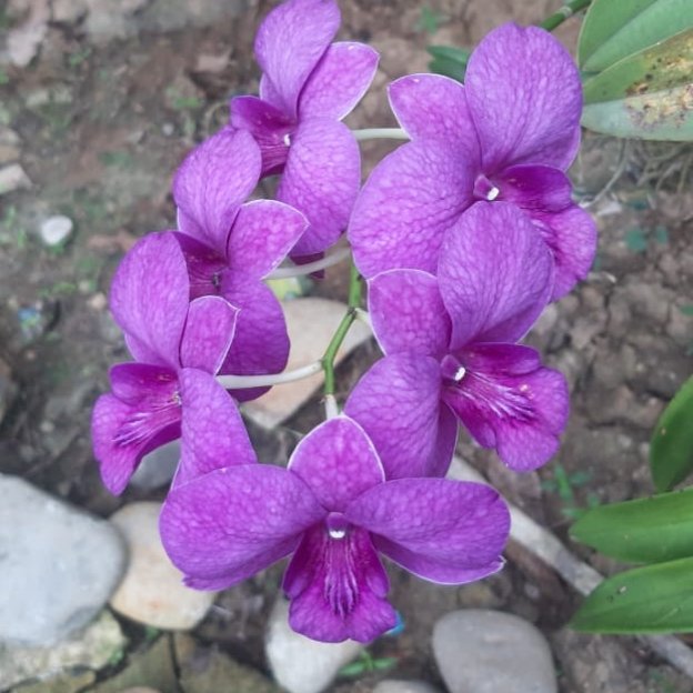 https://images.ecency.com/DQmeqHC9oPtBuZuRzHGWs3ANJAZmpf2TM8W61abmXfGjFva/1755049182439.jpg