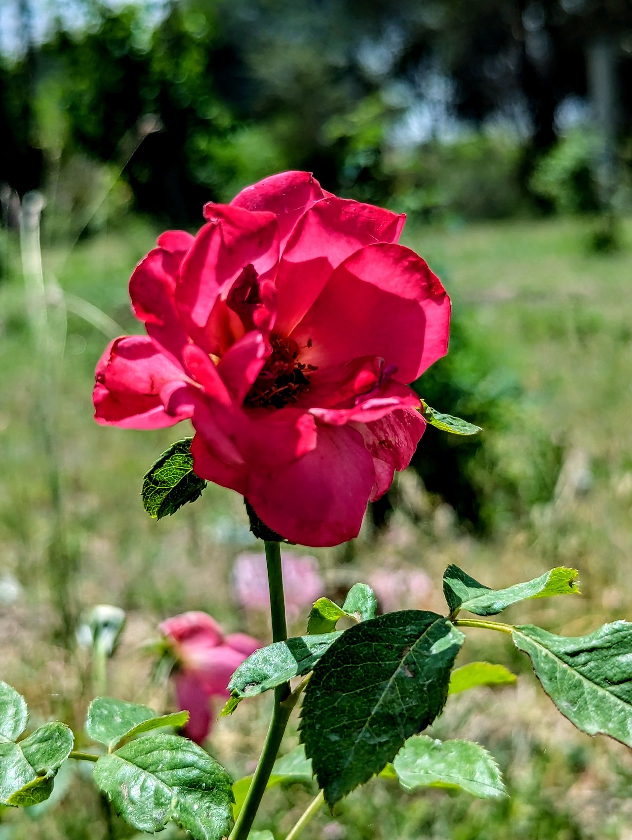 https://images.ecency.com/DQmeqVco7nSMRdBVK8kbzfVibJNQ6cLpEGAQcaDoai2x8yL/1746383135029.jpg