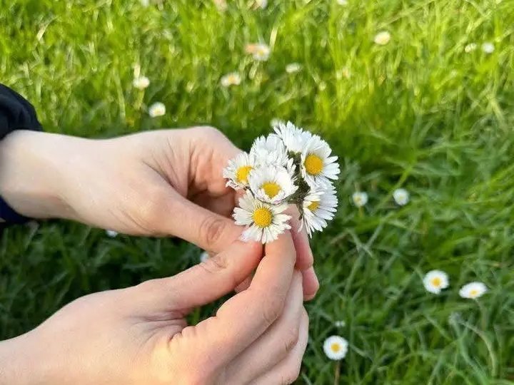 https://images.ecency.com/DQmesvt8pyt6iCAF1EoorsjtzofXZsaaZfy3gv4uN6NNPLY/1750036040202.jpg