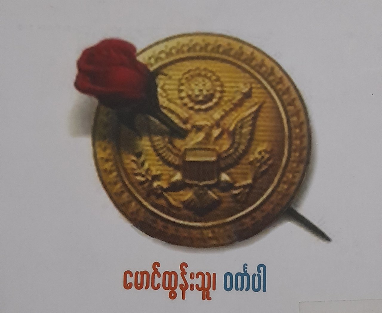 https://images.ecency.com/DQmetQKq53Gk84J3gpxJzT8ug14TxMkYG4SfHZBDmPmBVj2/1751872099805.jpg