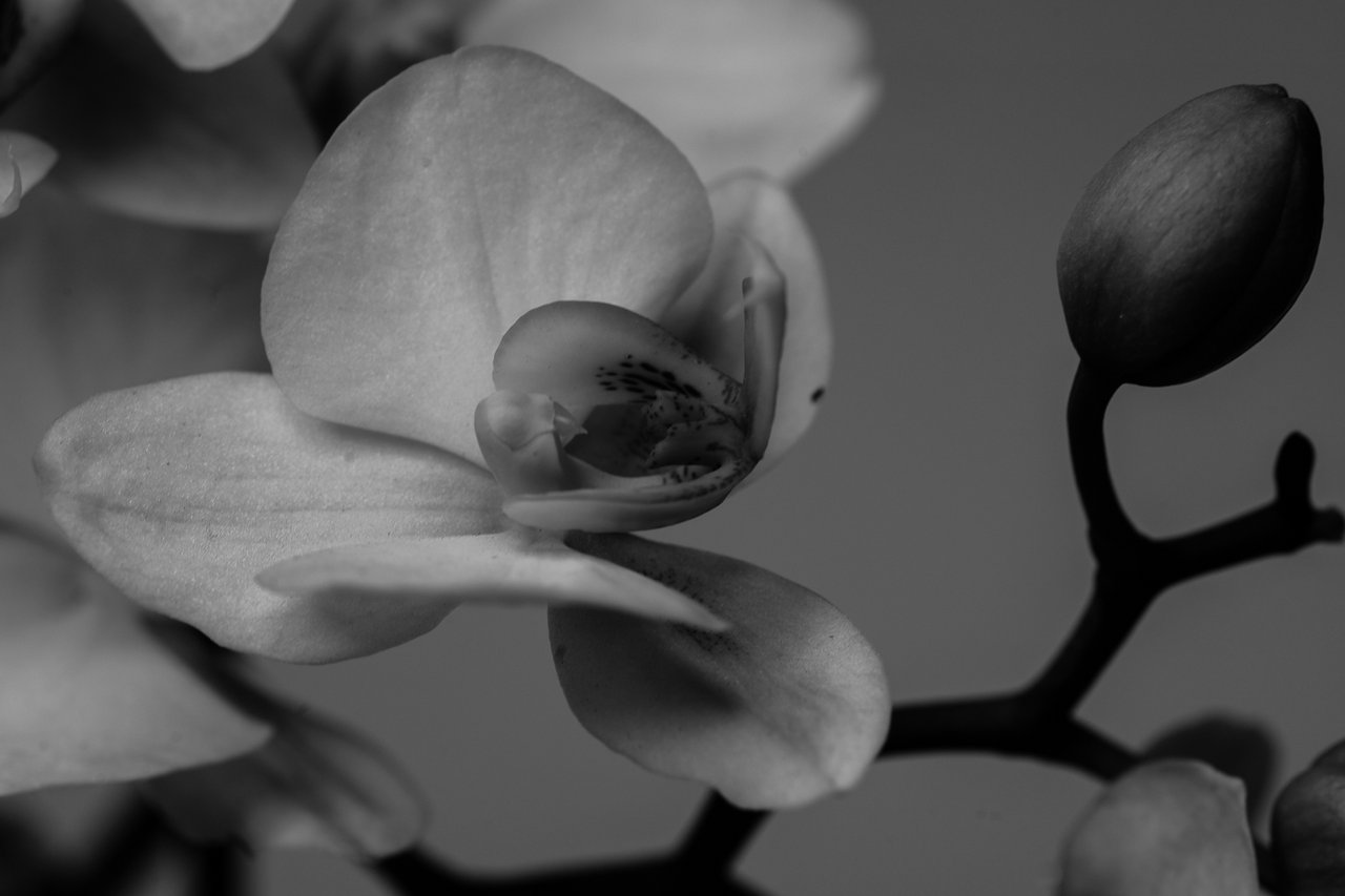 My first B&W contribution in 2025