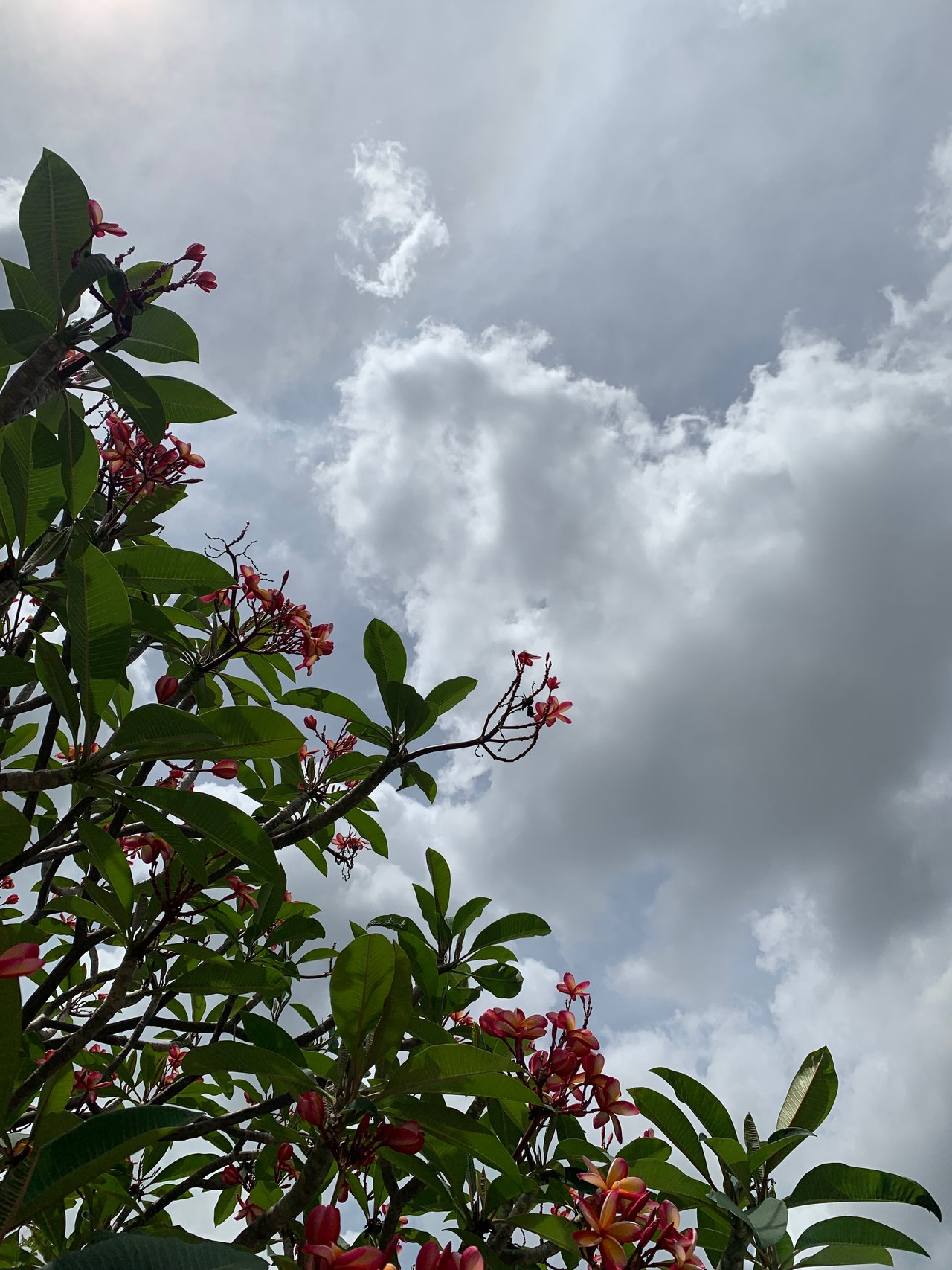 https://images.ecency.com/DQmeyh9rzqQWbWPEcgHdU8qCBZhfxJ7CptSvBN47RPPSyj8/clouds24.jpg