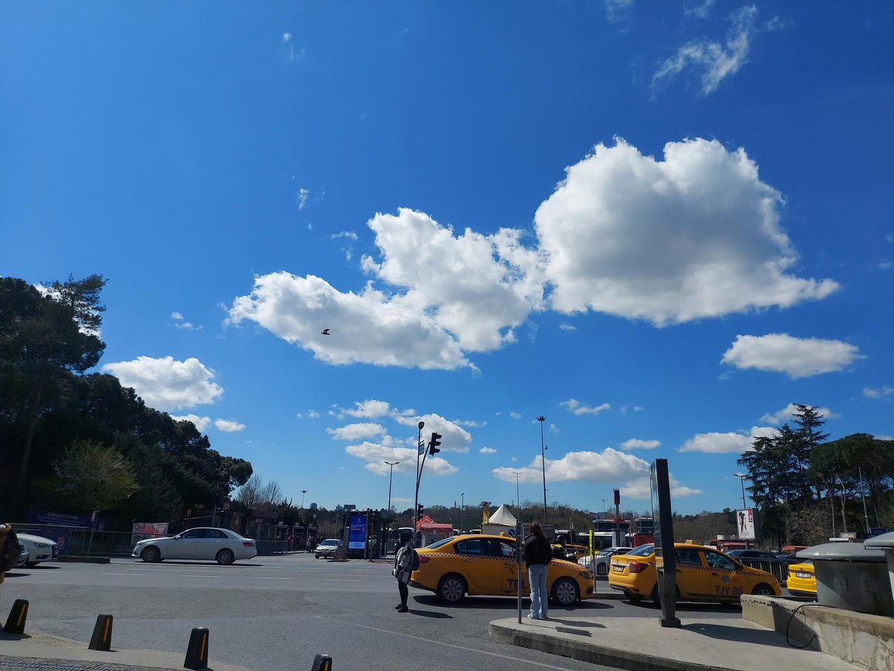 https://images.ecency.com/DQmezyCXDCa7VKULCnbQoZeEZs7raQZf5eKGX5baSbPtC3J/20230330_125516.jpg