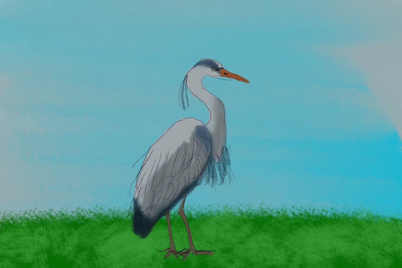 https://images.ecency.com/DQmf1XxcZk7QZWP4WsLgHCzLXPKUVhvq85AgUZx9esyNBeG/1742331976788.jpg