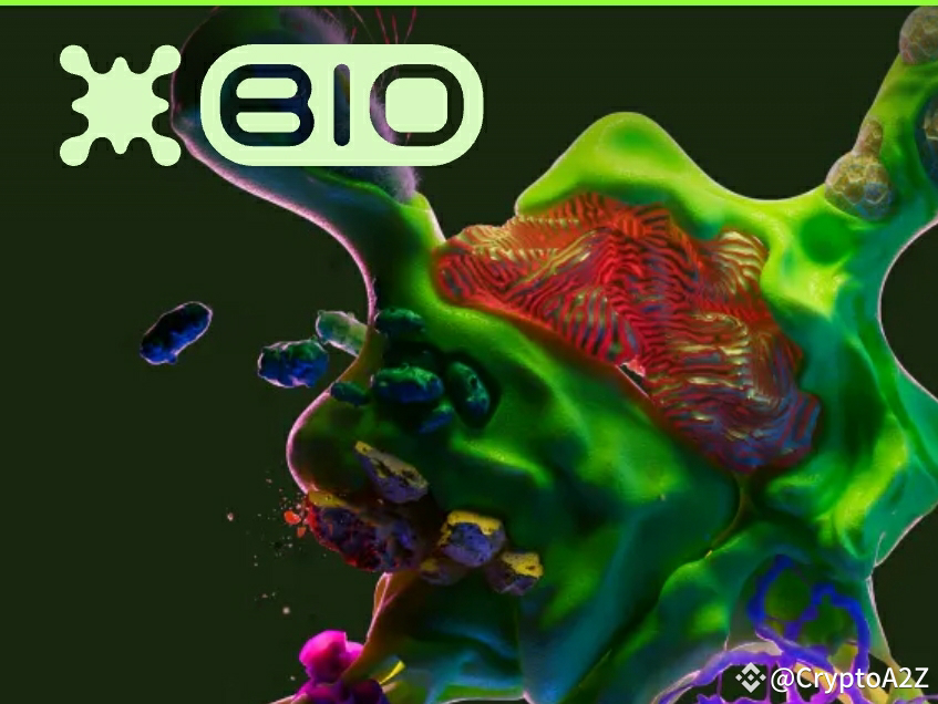 https://images.ecency.com/DQmf2k7moqZpSG6nkBkcnbLA7c4DeHnj72bUX48RcbXUL8D/1737502456973.png