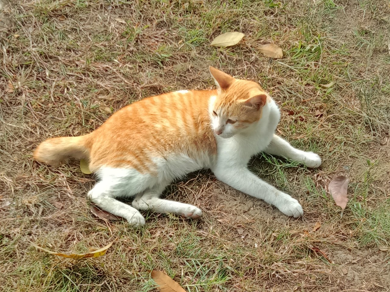 https://images.ecency.com/DQmf2roPRR6drJEKcWDgWxonVBSPtHb3Z8JN3m4HMHrzSqy/1754067911254.jpg