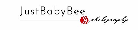 https://images.ecency.com/DQmf3SQFWx8aLN47p4yga6ubM2GoscNFmNprXihTaS9Ca4E/20220516_044734_0000_02.jpeg